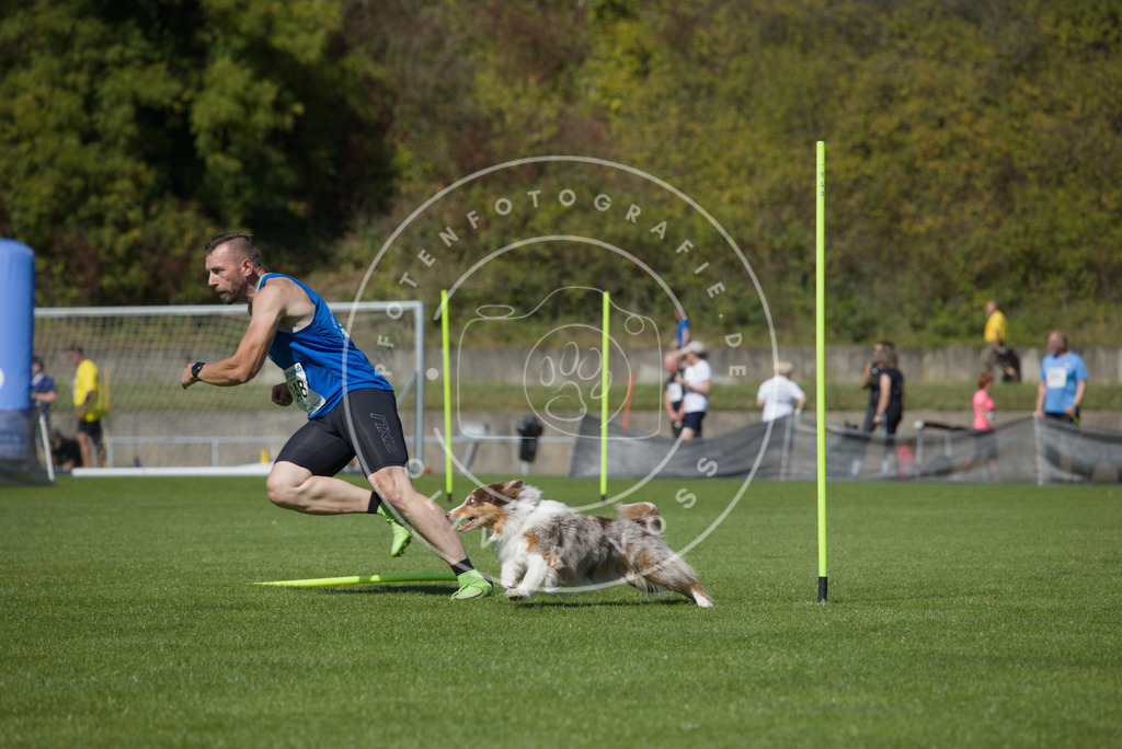 0L8A6270 | Hundefotografie, Tierfotograf, Pfotenfotografie, Fotoshooting Hund, Hunde Portrait, Hundesport, Hundeportraits, Heideshooting, Hunde, Sportfotograf, Hundefotograf, Turnierhundsport, THS,  - Realisiert mit Pictrs.com