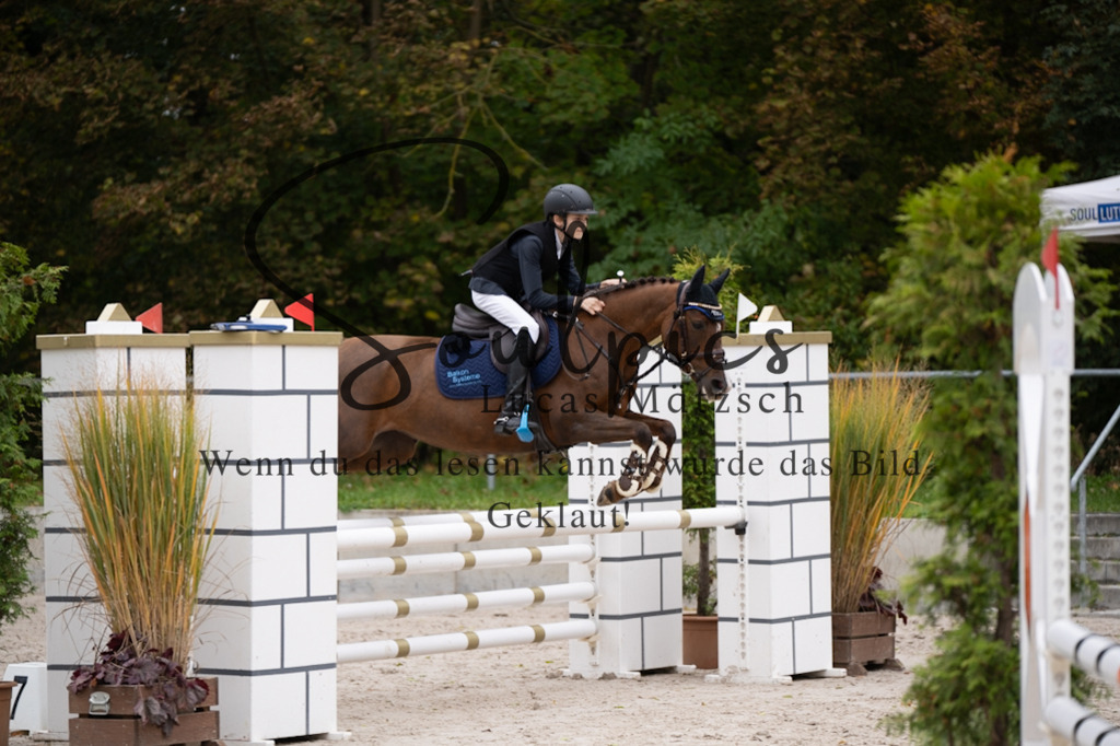 A7V07781 | Pferdefotograf