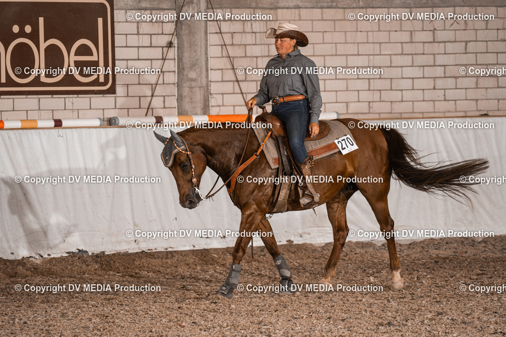 ZH200810 | dv-media-shop - Realisiert mit Pictrs.com