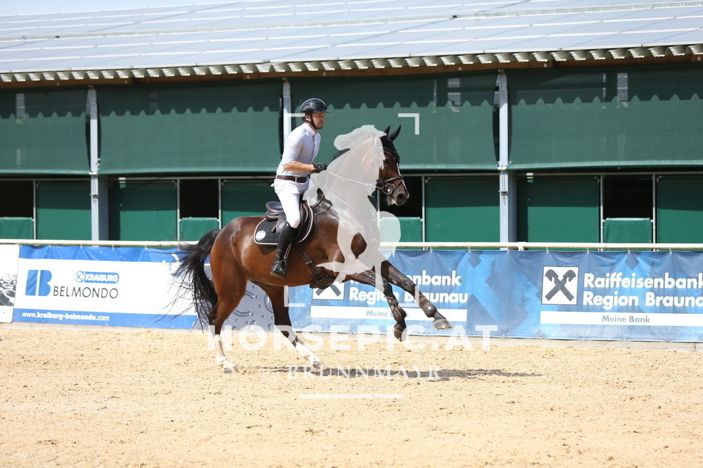 DL2Q2258 | Willkommen bei Brunnmayr - Design & Fotografie – Ihrem Spezialisten für Reitturniere und Pferdeveranstaltungen in Oberösterreich, Salzburg und Bayern! Seit über 17 Jahren sind wir leidenschaftlich dabei.
