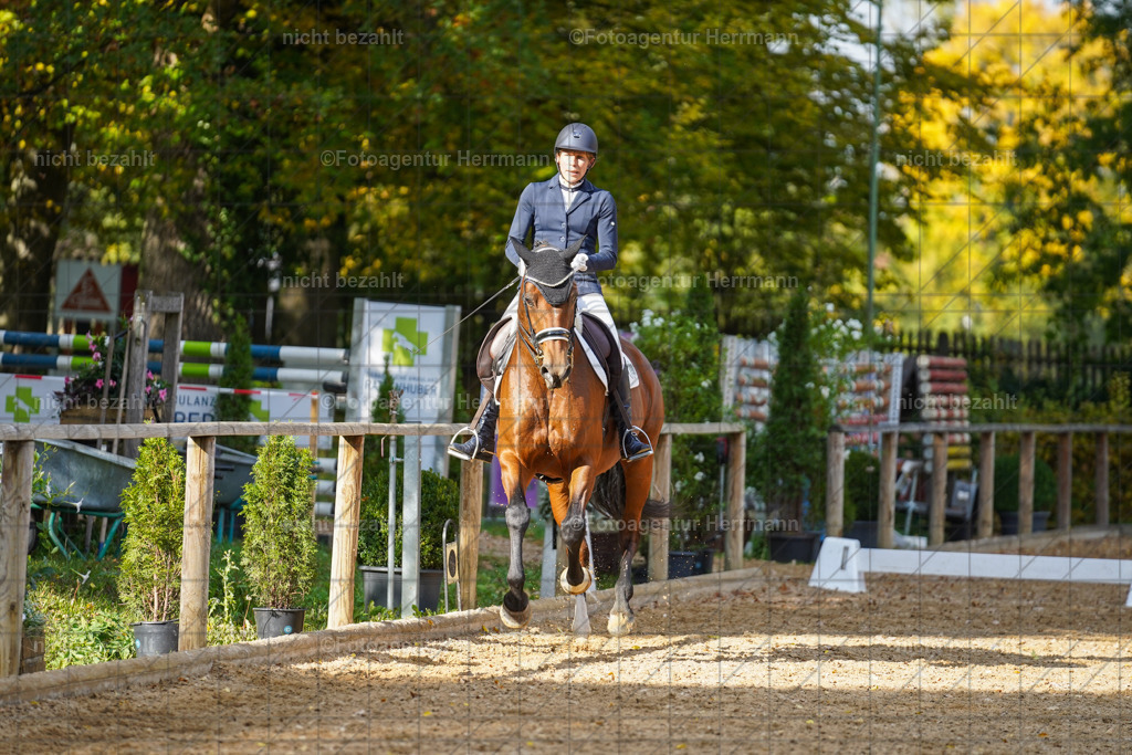 20221007-FAH00002 | Diessen am Ammersee, 2022, Dressur- und Springturnier, Reitsportbilder, Turnierfotografen Bayern, Pferdefotografen, Fotoagentur Herrmann, Turnierbilder