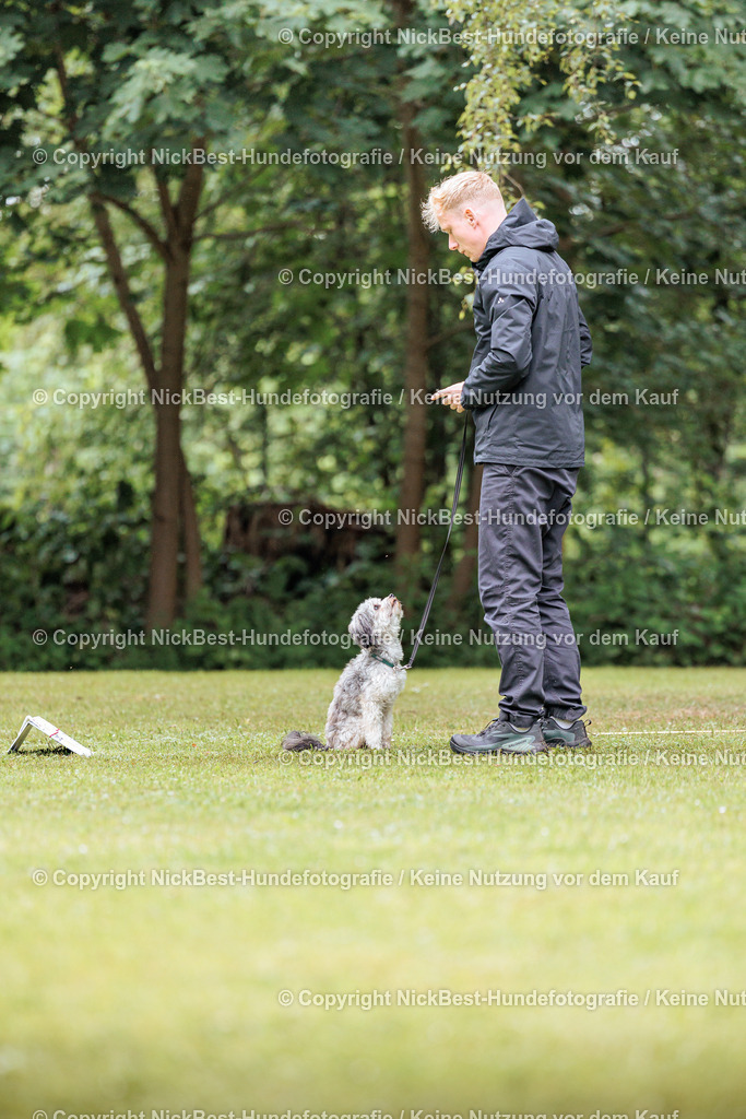 RO-Blumenthal-2026-Nickbest-Hundefotografie-4674 | Dein Hund! Dein Moment! Deine Erinnerungen! Hundefotografie in Bremen Blumenthal. Ich fange die besonderen Momente deines Vierbeiners ein – ob Indoor mit Blitzanlage oder in der freien Natur. Sicher dir dein Moment und dein Termin für eure Erinnerungen.