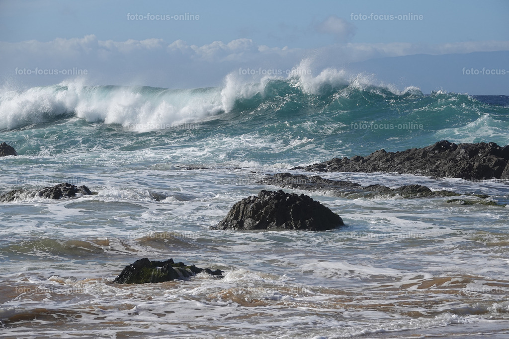 waves | Elemental power of the waves