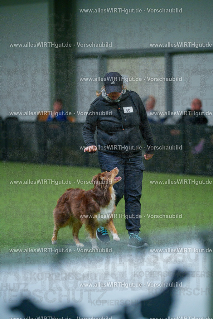 7R502875 | Professionelle Tierfotografie in Mönchengladbach von Daniel Wirth (allesWIRTHgut). Liebevolle & natürliche Bilder von Hunden & Katzen für unvergessliche Erinnerungen.