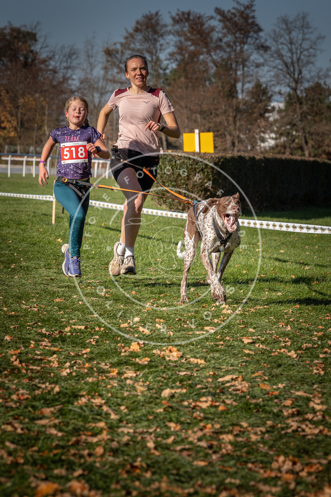 CaniXpix_0L8A7032 | Hundefotografie, Tierfotograf, Pfotenfotografie, Fotoshooting Hund, Hunde Portrait, Hundesport, Hundeportraits, Heideshooting, Hunde, Sportfotograf, Hundefotograf, Turnierhundsport, THS,  - Realisiert mit Pictrs.com