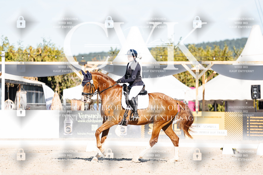 CK907668 | Turnierfotografie Pferdefotografie Trier Rheinland-Pfalz Pferdesport Reitsport Tierfotografie Sportfotografie Pferdevideo Pferdevideografie Equestrianvideography equestrianphotography  - Realisiert mit Pictrs.com