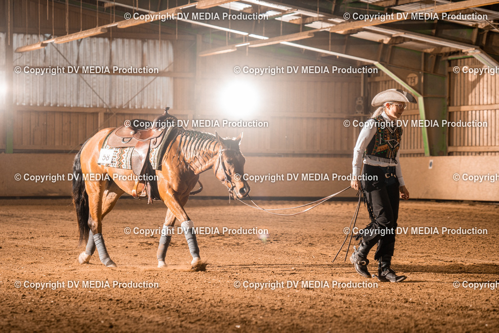 BA301331 | dv-media-shop - Realisiert mit Pictrs.com