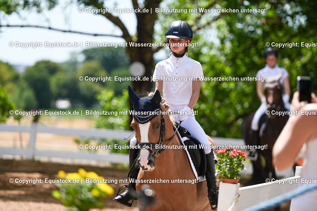 20230715_09_Dressur-WB_0271 | equistock