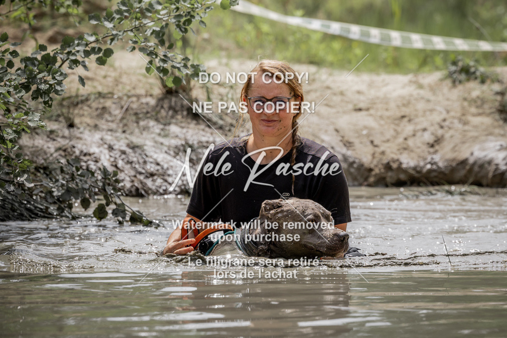 nelerasche_so1300-1330_145 | nelerasche