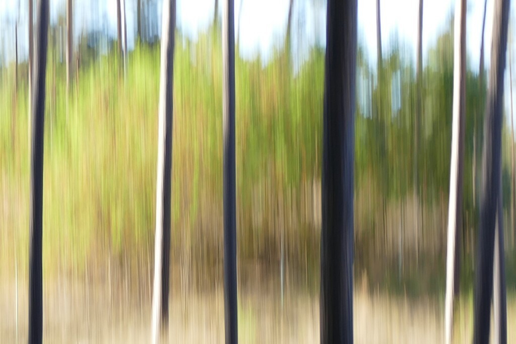 P4050622_b | Annaeherungen - Realisiert mit Pictrs.com