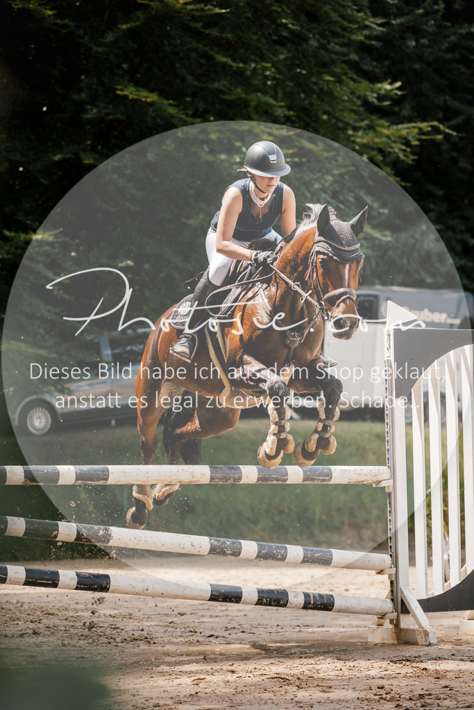 3I6A7896 | Stimmungsvolle Portraits und Reitsportfotografie im Ruhrgebiet und im Münsterland.

Pferdefotografie, Hundefotografie, Tierfotografie, Reportagen, Portraits von Tier und Mensch, Turnierfotografie in Bochum, Recklinghausen, Marl, Haltern am See, Dülmen.. - Realisiert mit Pictrs.com