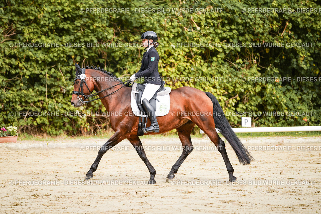 DSC01825 | Pferdegrafie