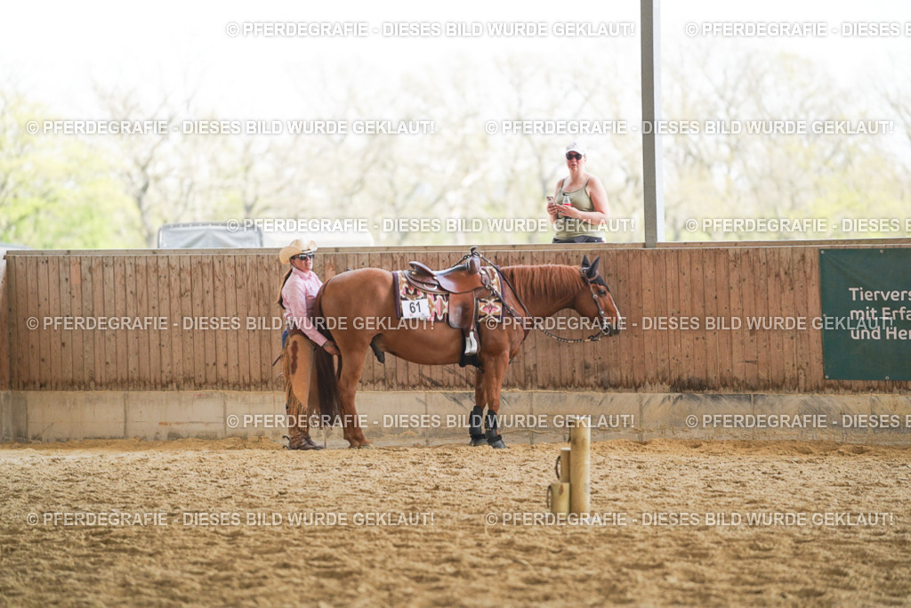 DSC02217 | Pferdegrafie