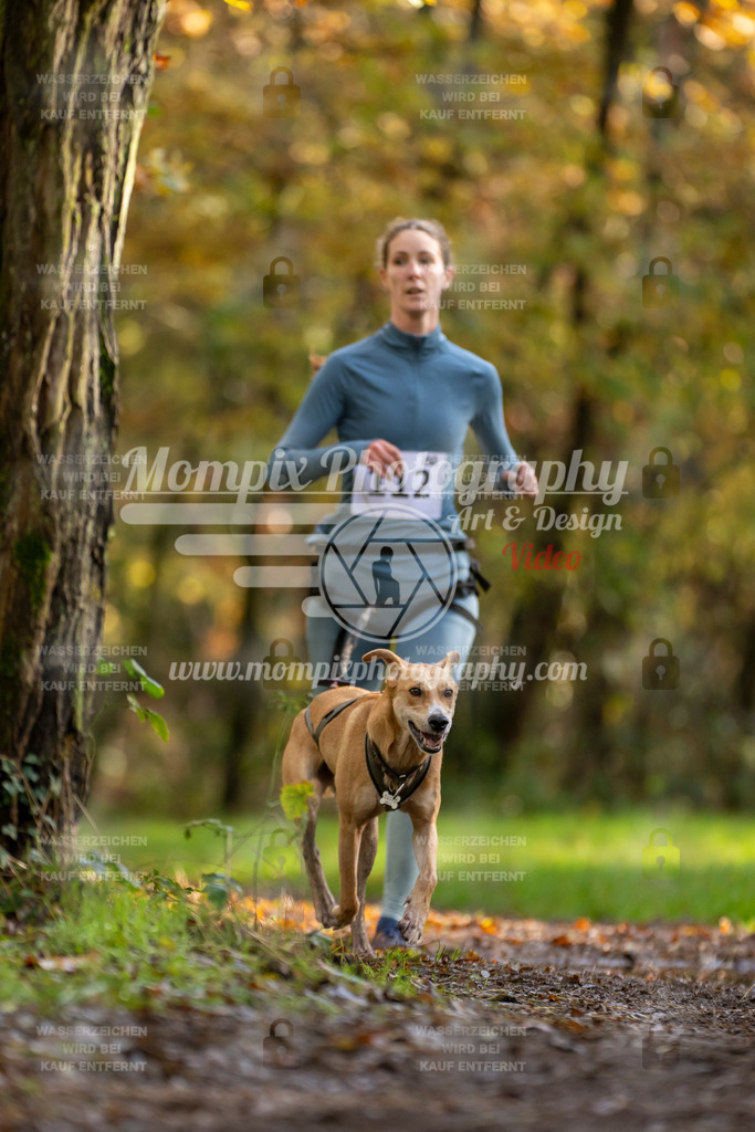 MompixPhotography_Bischwiller23_Canicross-79 | PayLife