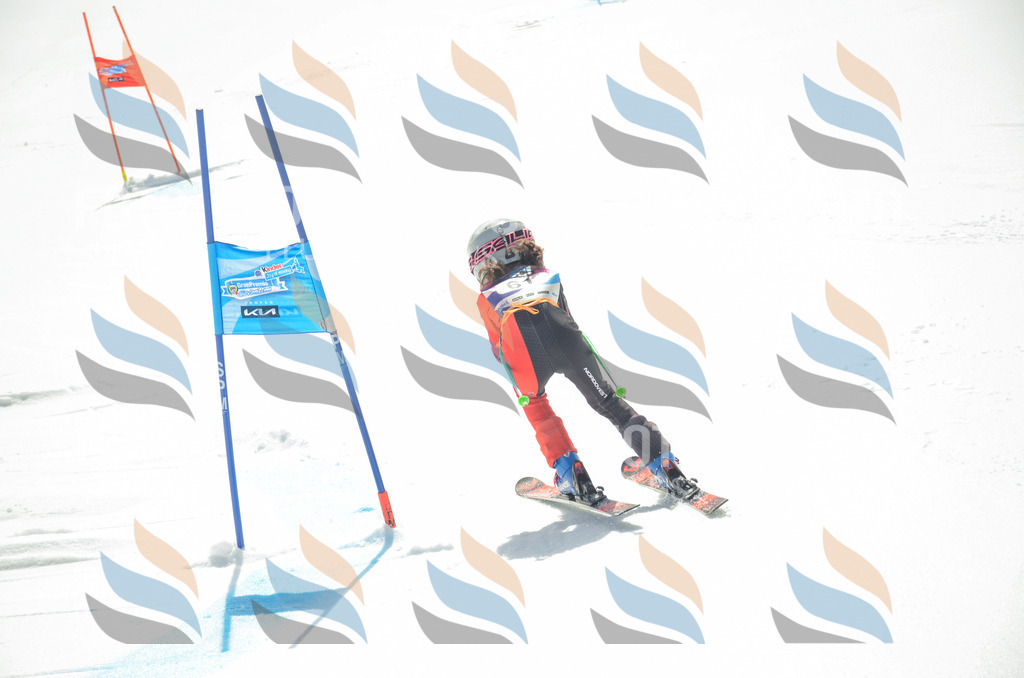 _ELE5333 | holidayphoto