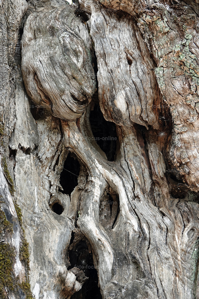 u | foto-focus-online