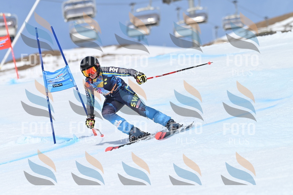 BGV_3121 | holidayphoto