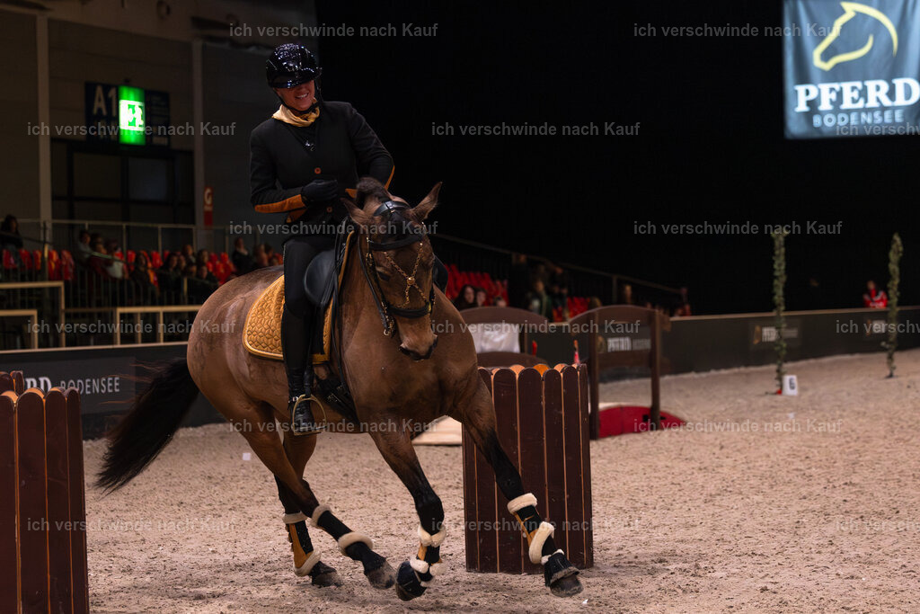 JoseraCup-51 | working equitationturnier fotograf videograf stoibphotography marixx film working equitation deutschland reitsport turnierfotografie eventfotografie equestrian events