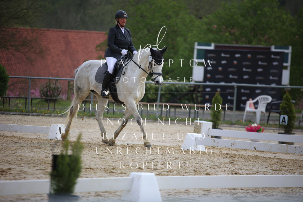 IMGT5819 | pl-fotografie