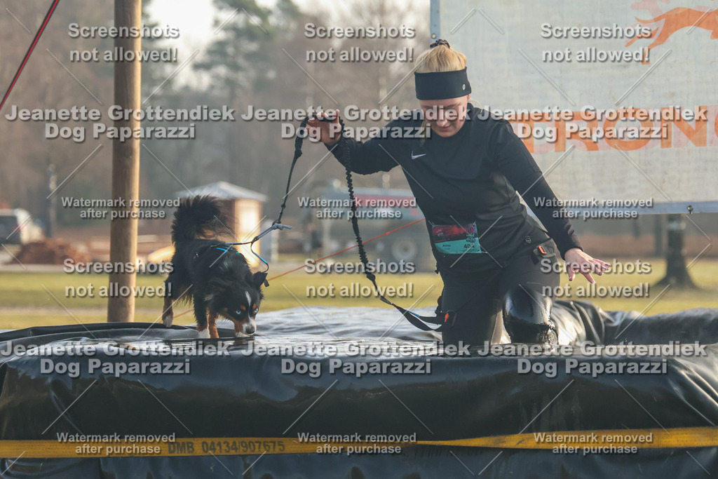 Dog Paparazzi - SD North Sa 830-900-66 | Dog Paparazzi Jeanette Grottendiek Fotografie & Videografie - Realisiert mit Pictrs.com