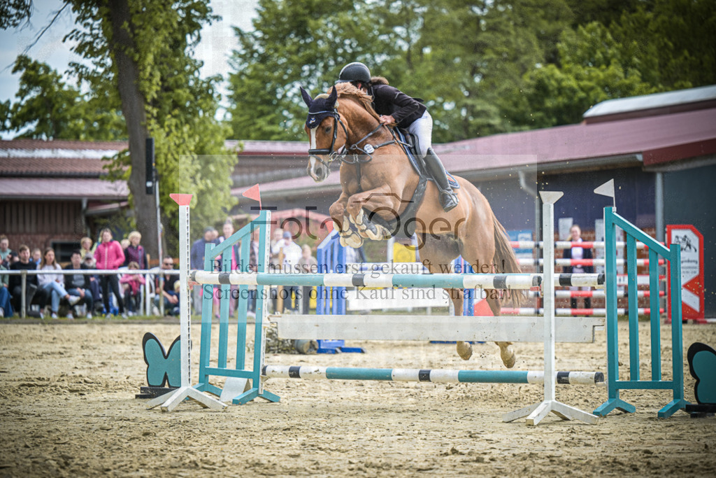 DOS_2478 | Entdecke hochwertige Reitturnierfotos von Foto Oger. Professionell, emotional und authentisch – jetzt Lieblingsmomente im Shop bestellen.Deutschlandweite Turnierfotografie. - Realisiert mit Pictrs.com