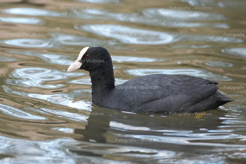 2023028. Nürnberg-30 | Fotografie Woldron