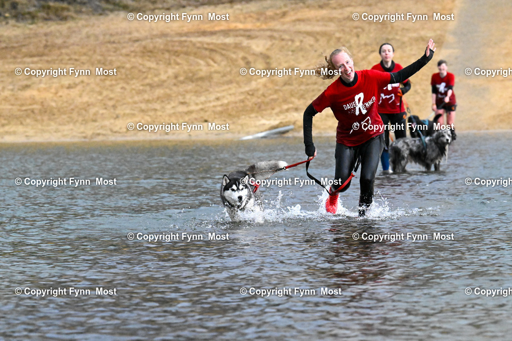 DSC_1661 | Hallo und herzlich Willkommen auf meiner Shop-Seite Fynn Most.

Ich wünsche Dir viel Spaß beim stöbern durch die Bilder, wenn Du Fragen hast oder Bilder vermisst, kannst du mir gerne eine Nachricht schreiben. - Realisiert mit Pictrs.com