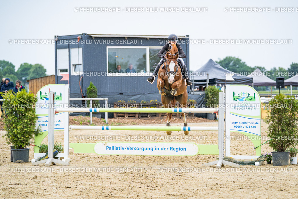 DSC07193 | Pferdegrafie