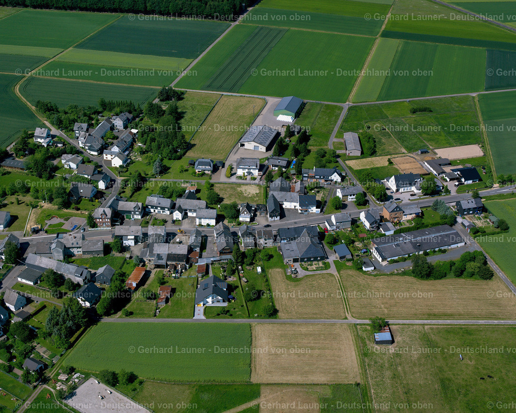 2625067 | Braunshorn