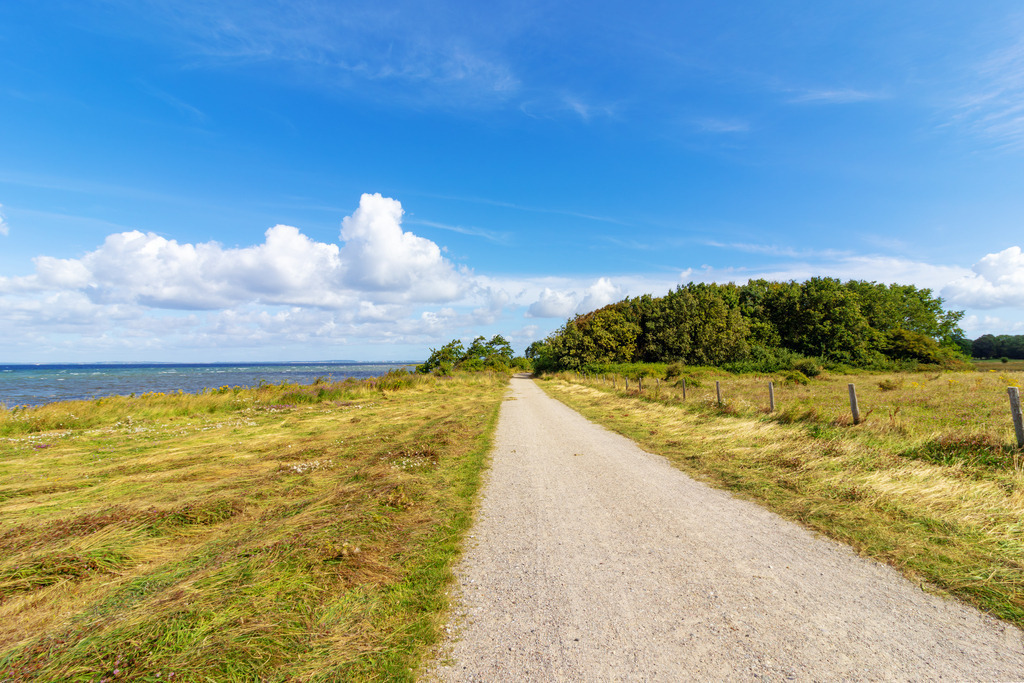 Wandbild: Geltinger Birk im Sommer | Dieses Wandbild im Querformat zeigt die Geltinger Birk im Sommer. Im Vordergrund ist ein Spazierweg inmitten von Feldern zu sehen. Auf der linken Seite ist in der Ferne die Ostsee zu sehen. Am blauen Himmel befinden sich sommerliche Wolken. - Realisiert mit Pictrs.com