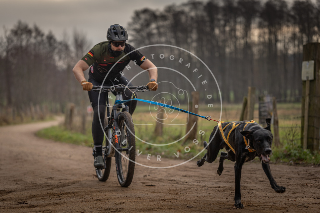 Pfotenfotografie_DV3A1704 | Hundefotografie, Tierfotograf, Pfotenfotografie, Fotoshooting Hund, Hunde Portrait, Hundesport, Hundeportraits, Heideshooting, Hunde, Sportfotograf, Hundefotograf, Turnierhundsport, THS,  - Realisiert mit Pictrs.com