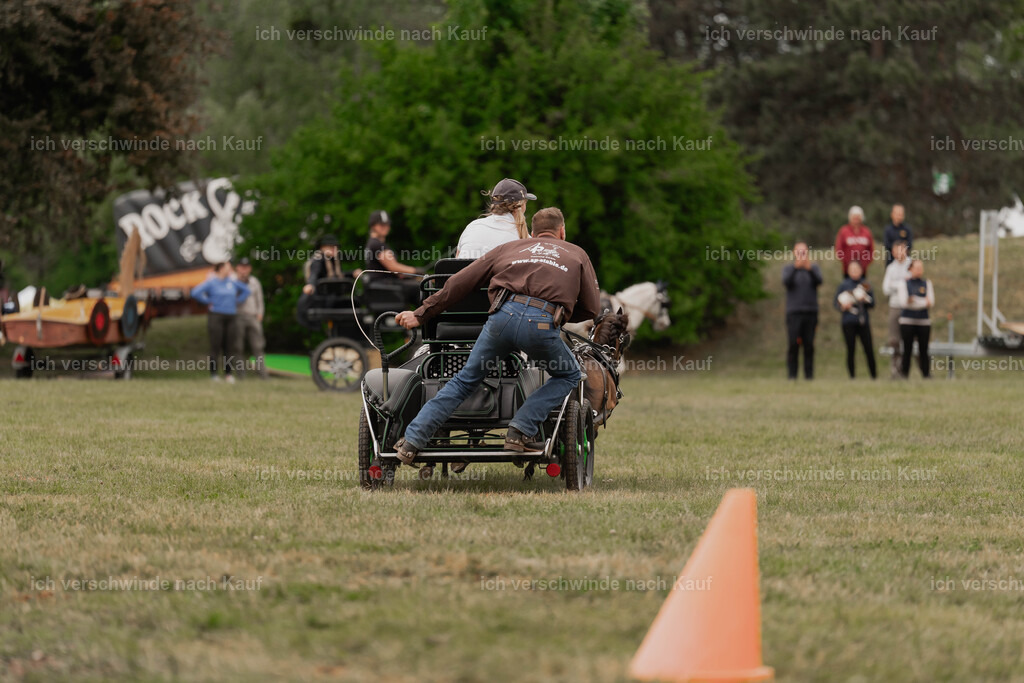 Showprogramm-495 | working equitationturnier fotograf videograf stoibphotography marixx film working equitation deutschland reitsport turnierfotografie eventfotografie equestrian events