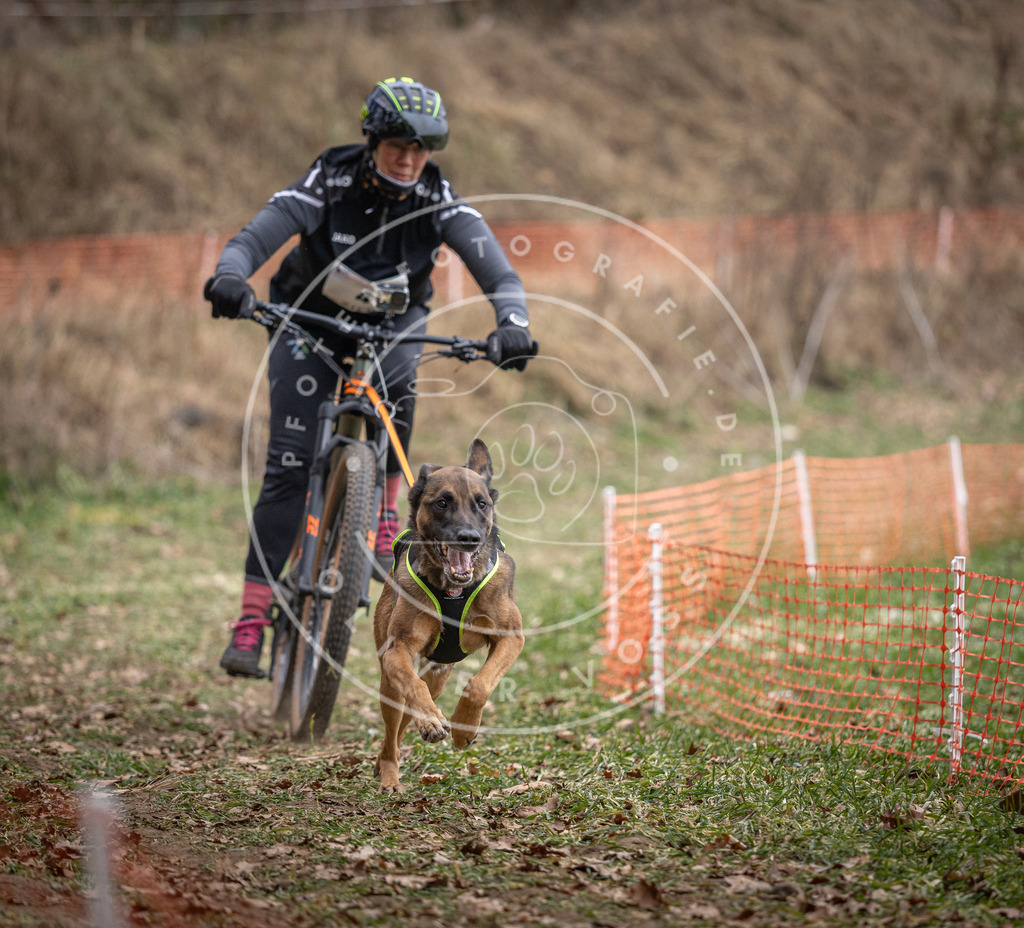 Pfotenfotografie_DV3A6256 | Hundefotografie, Tierfotograf, Pfotenfotografie, Fotoshooting Hund, Hunde Portrait, Hundesport, Hundeportraits, Heideshooting, Hunde, Sportfotograf, Hundefotograf, Turnierhundsport, THS,  - Realisiert mit Pictrs.com