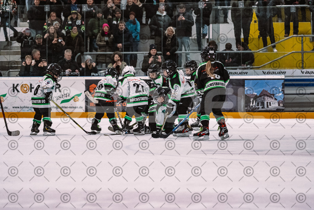 Alligators_vs_Erding_01_02_2026-28 | Höchstadt Alligators Fotogalerie: Eishockey-Action aus Franken. Professionelle Spielfotos, Portraits & Stadionbilder zum Download. Jetzt entdecken! - Realized with Pictrs.com