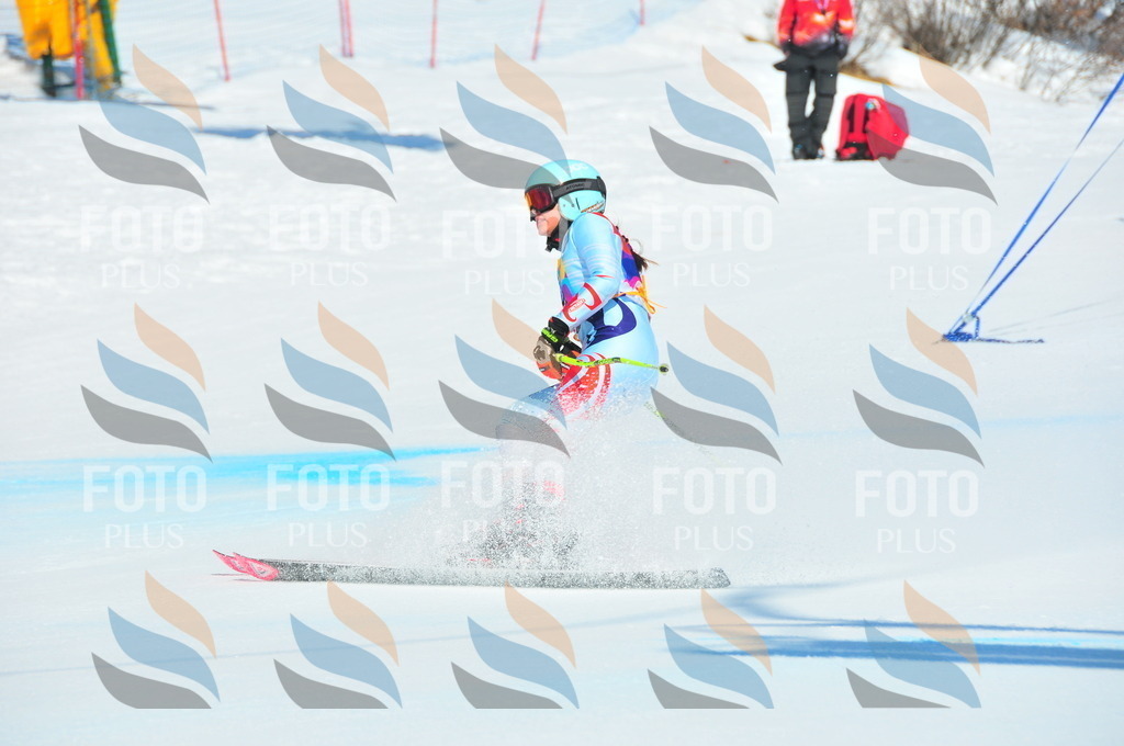 DSC_4757 | holidayphoto