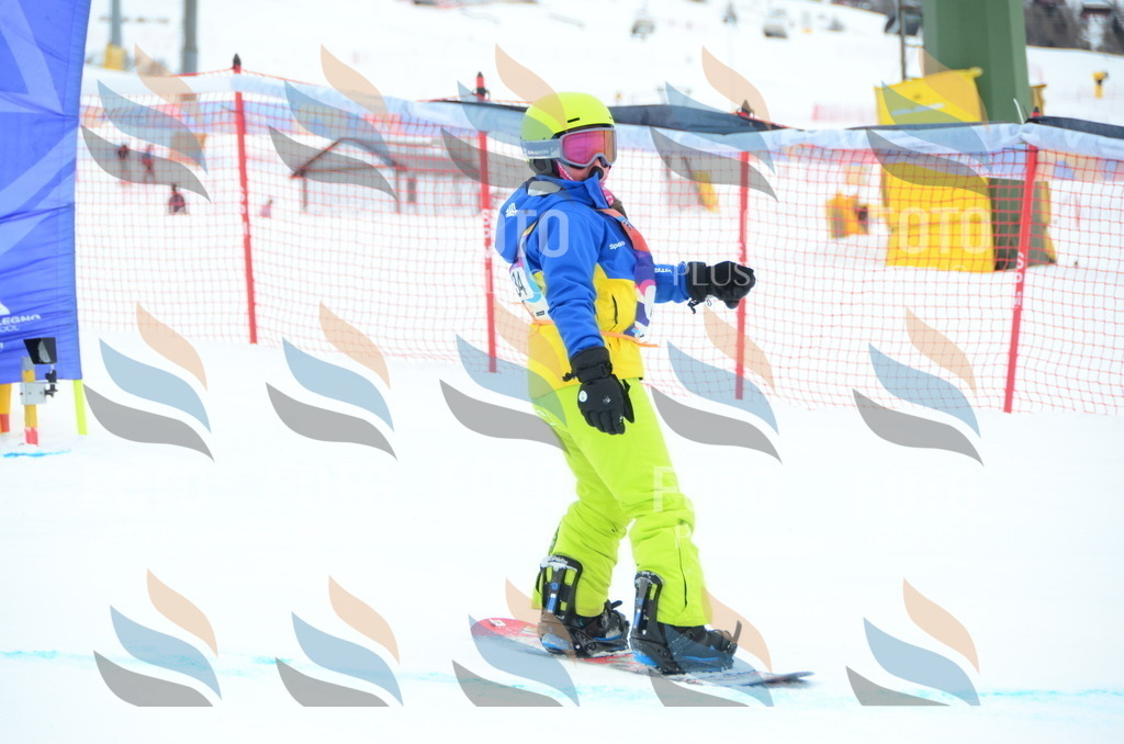 DSC_2388 | holidayphoto