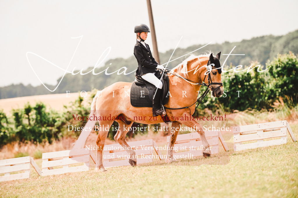 DSC_6252 | Pferde- und Turnierfotografie in Westsachsen. Pferdeportraits, Auftragszeichnungen und intuitive Kunst.