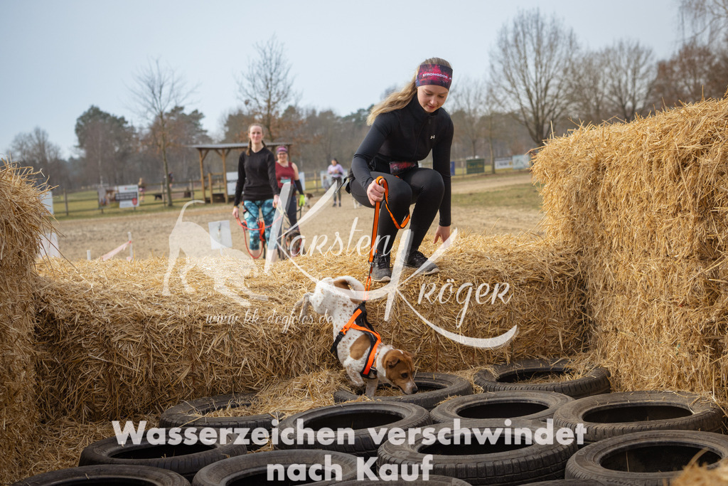 1043_ZZ98519 | kk-dogfotos