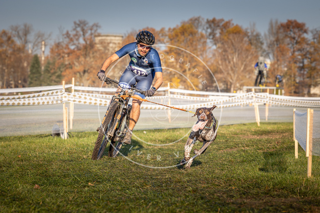 CaniXpix_0L8A4077 | Hundefotografie, Tierfotograf, Pfotenfotografie, Fotoshooting Hund, Hunde Portrait, Hundesport, Hundeportraits, Heideshooting, Hunde, Sportfotograf, Hundefotograf, Turnierhundsport, THS,  - Realisiert mit Pictrs.com
