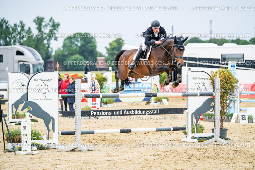 DSC07271 | Pferdegrafie