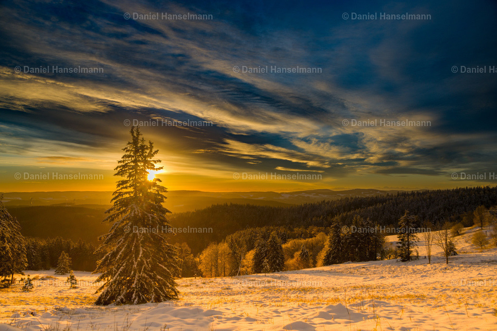 IMG_0295 | Hier finden Sie Poster, Leinwandfotos sowie viele weitere Fotoprodukte mit Motiven aus dem Schwarzwald, aus Freiburg und dem Kaiserstuhl zum Download und zum Bestellen.  - Realisiert mit Pictrs.com