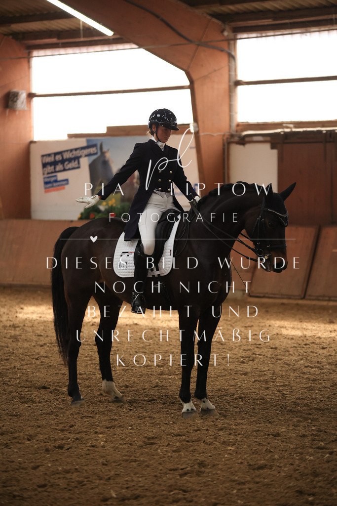 IMGT4829 | pl-fotografie