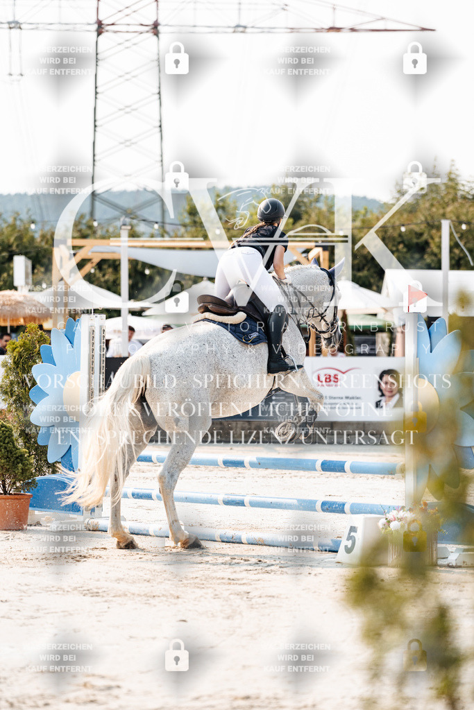 CK902694 | Turnierfotografie Pferdefotografie Trier Rheinland-Pfalz Pferdesport Reitsport Tierfotografie Sportfotografie Pferdevideo Pferdevideografie Equestrianvideography equestrianphotography  - Realisiert mit Pictrs.com