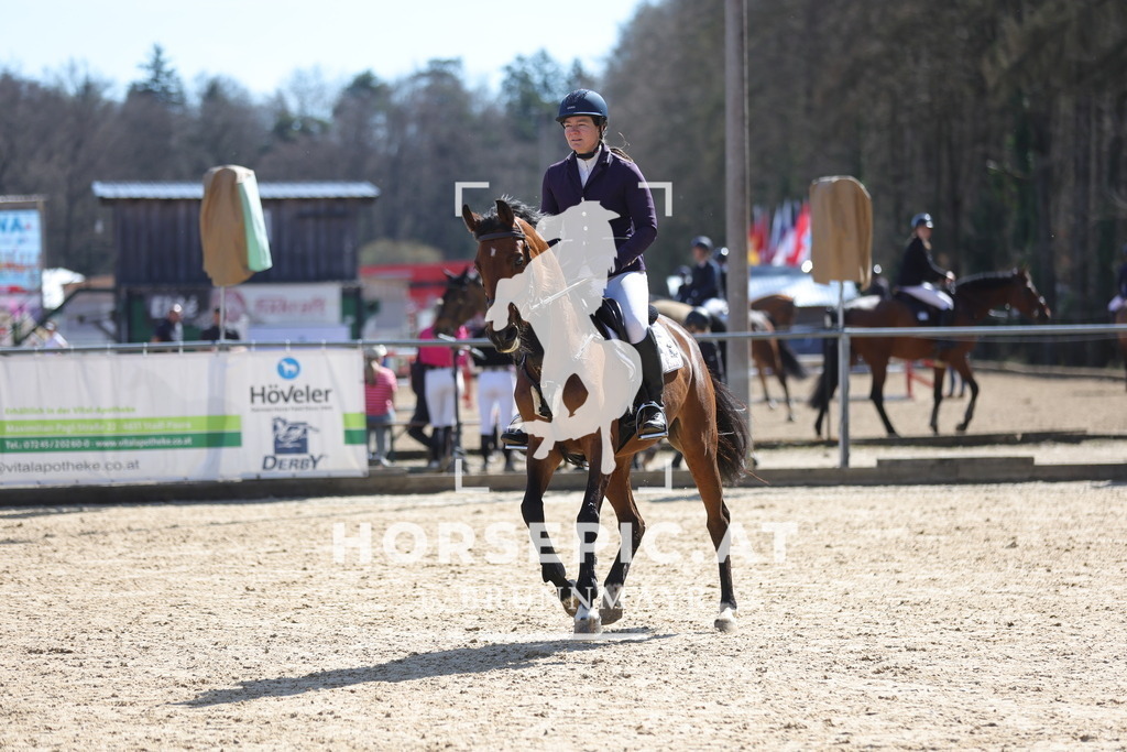 0P6A7382 | Willkommen bei Brunnmayr - Design & Fotografie – Ihrem Spezialisten für Reitturniere und Pferdeveranstaltungen in Oberösterreich, Salzburg und Bayern! Seit über 17 Jahren sind wir leidenschaftlich dabei.