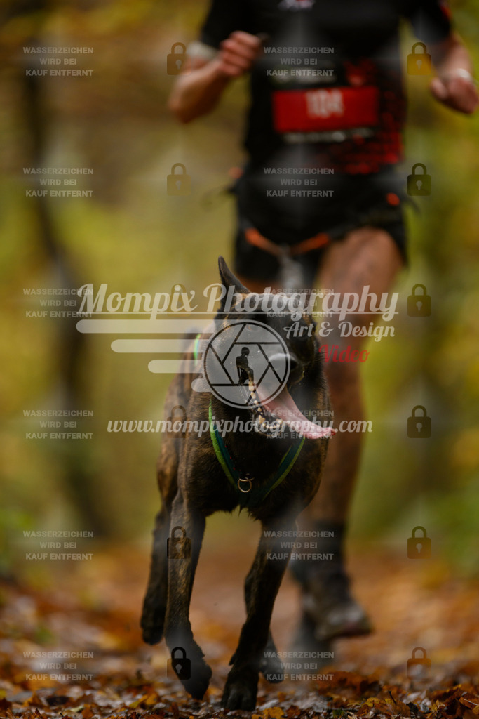 MompixPhotography_CD7S_DI_CCL-24 | mompixphotography