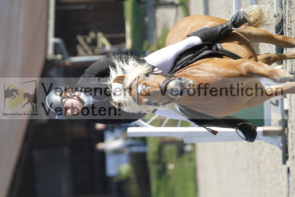 _MG_8445 | equestrian-live-com