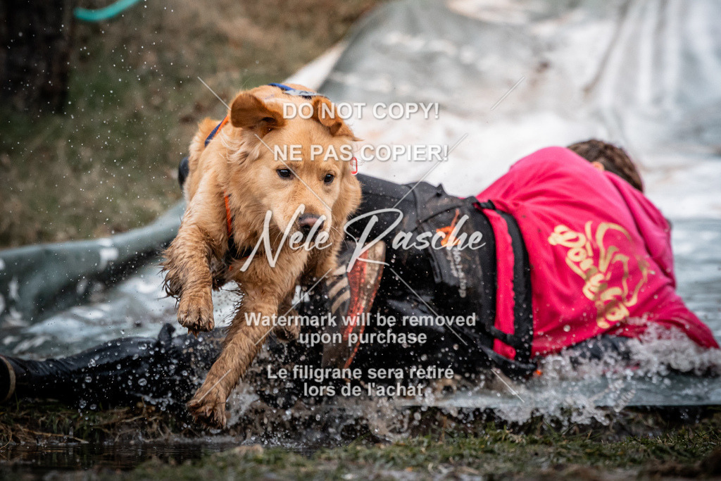 nelerasche_1130-1230_145 | nelerasche