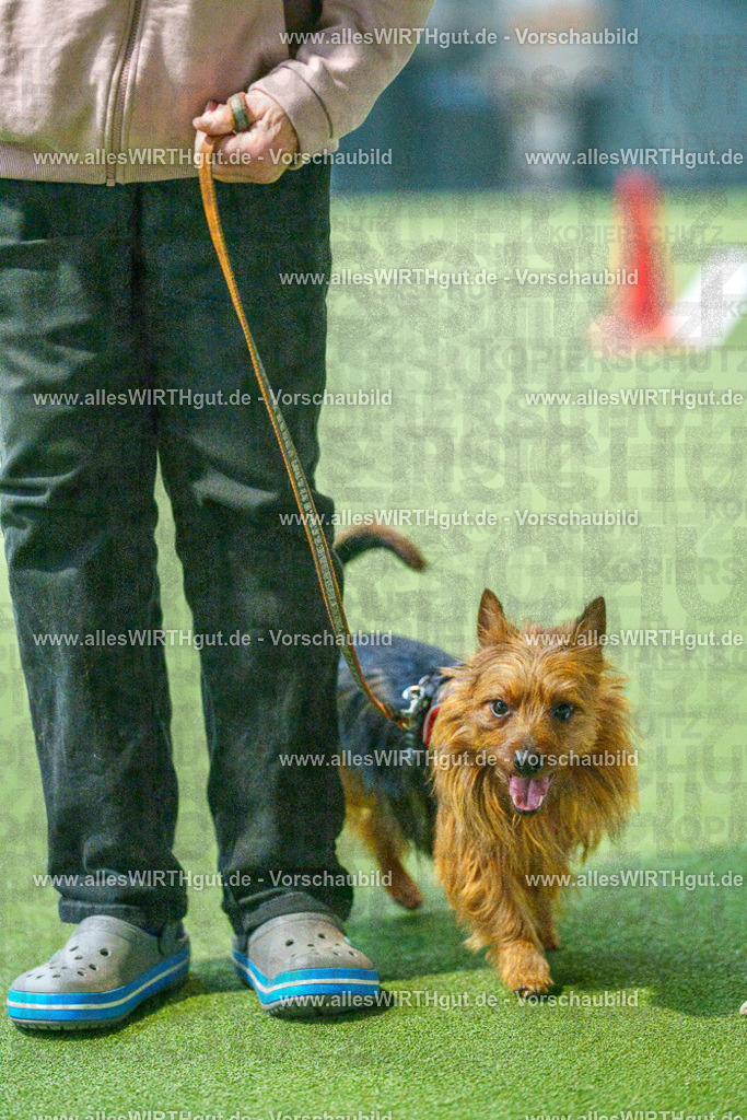 7R500414 | Professionelle Tierfotografie in Mönchengladbach von Daniel Wirth (allesWIRTHgut). Liebevolle & natürliche Bilder von Hunden & Katzen für unvergessliche Erinnerungen.