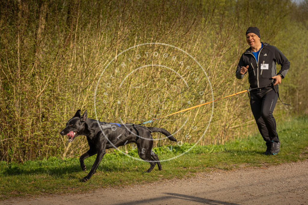 Pfotenfotografie_DV3A4735 | Hundefotografie, Tierfotograf, Pfotenfotografie, Fotoshooting Hund, Hunde Portrait, Hundesport, Hundeportraits, Heideshooting, Hunde, Sportfotograf, Hundefotograf, Turnierhundsport, THS,  - Realisiert mit Pictrs.com
