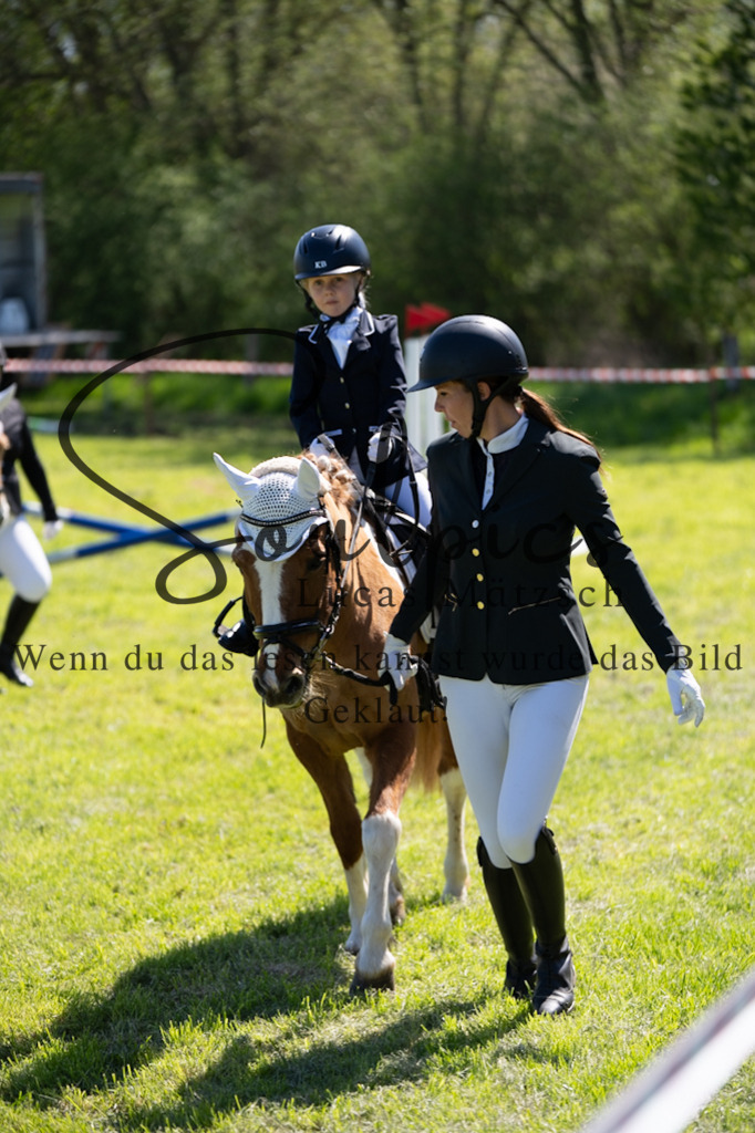 A7V01217 | Pferdefotograf